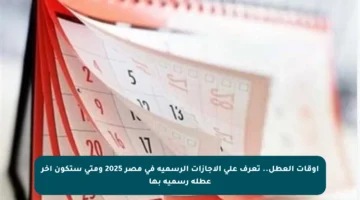 أوقات العطل.. تعرف على الإجازات الرسمية في مصر 2025 ومتى ستكون آخر عطلة رسمية بها